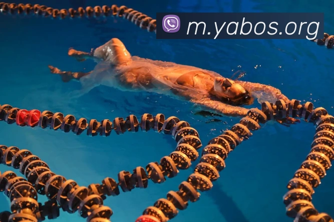 yaboAPP 体育赛事宣传图